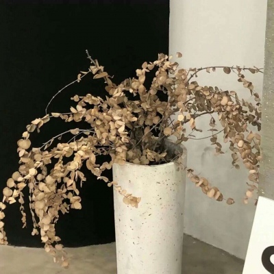 原创Furry角色设计思路福瑞交流群